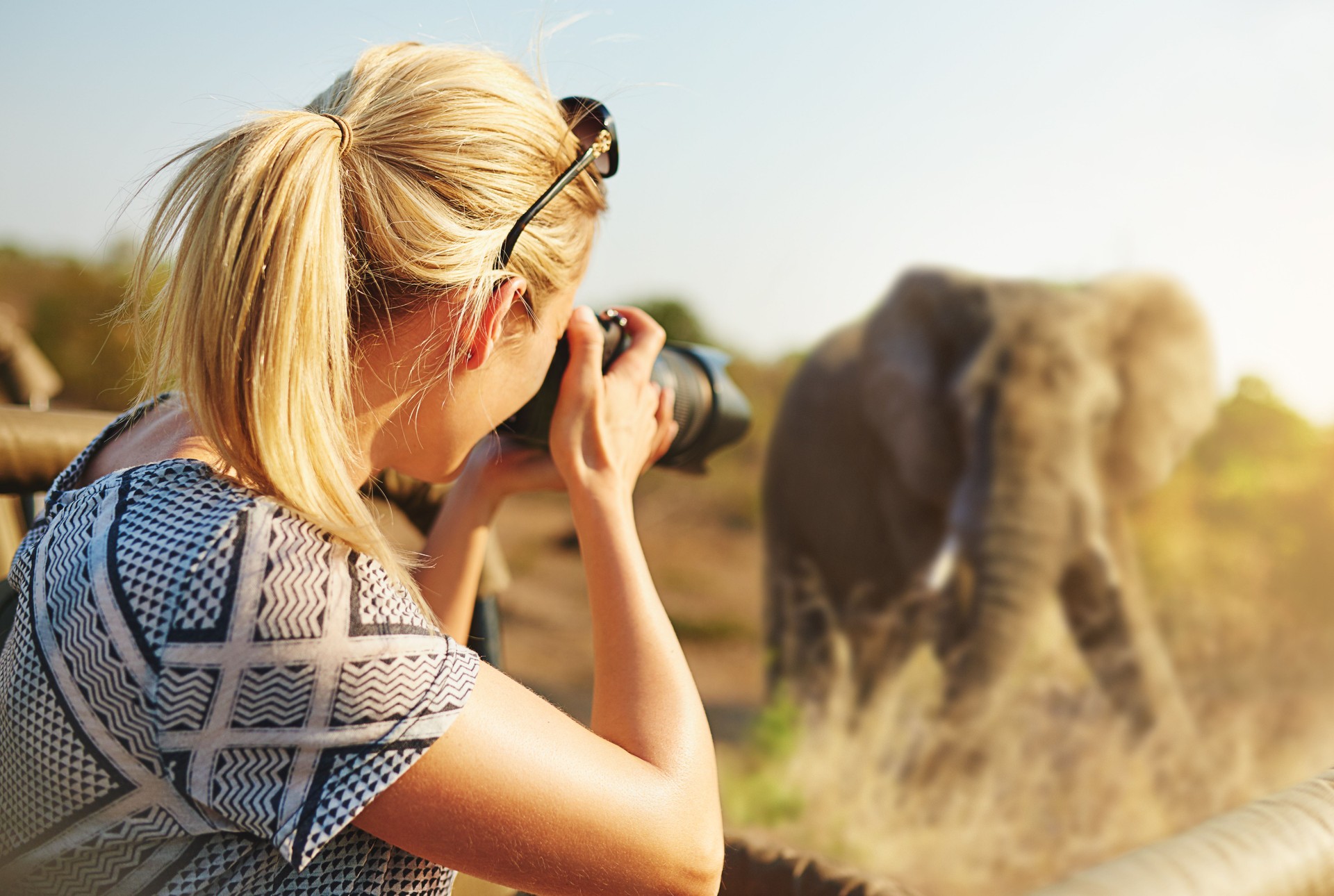 Capturing wildlife